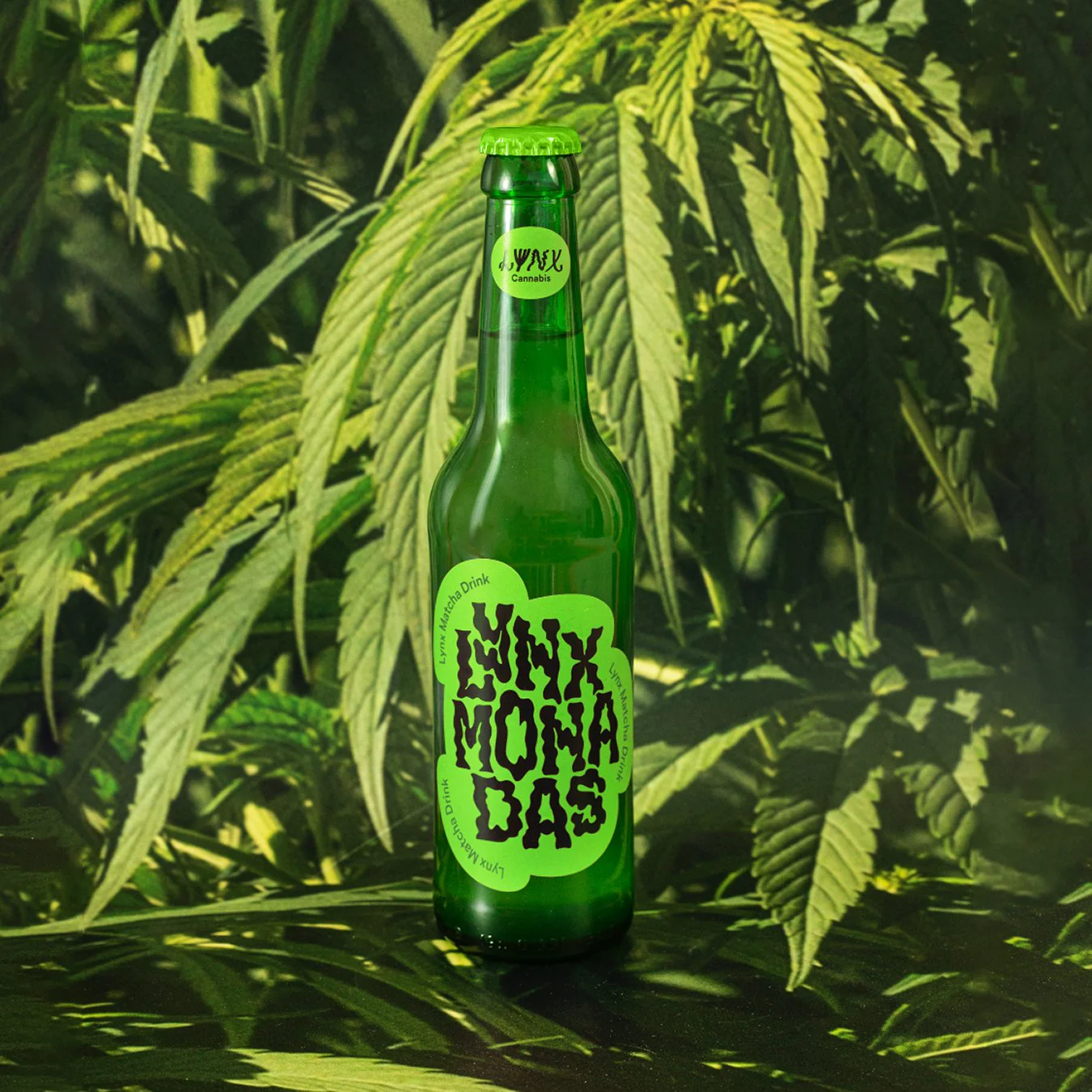Lynx – Matcha